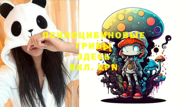 таблы Губаха